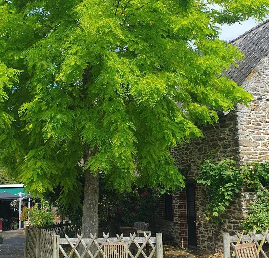 L'Auberge De La Porte Saint-Jouan-des-Guerets